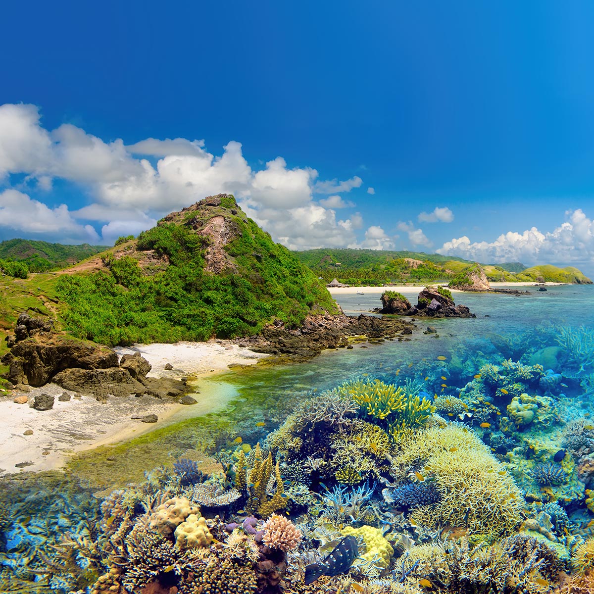 Liburan Menakjubkan ke Lombok: Surga Tersembunyi di Indonesia Thumbnail